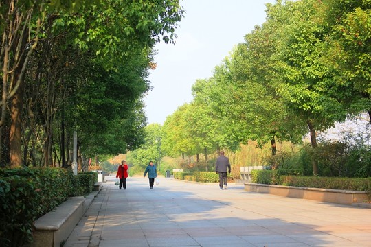 滁河灣濕地公園
