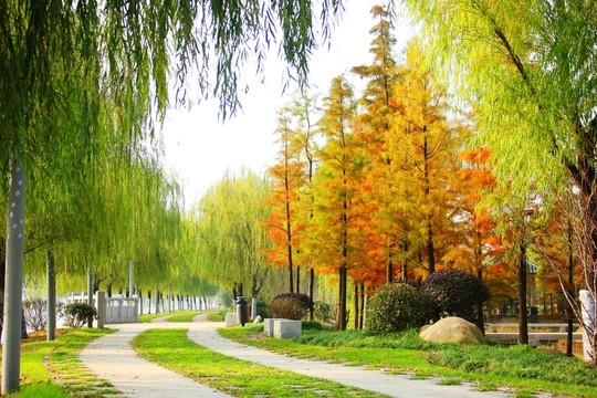 滁河灣濕地公園