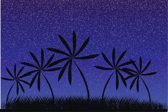 棕櫚樹與夏季日落