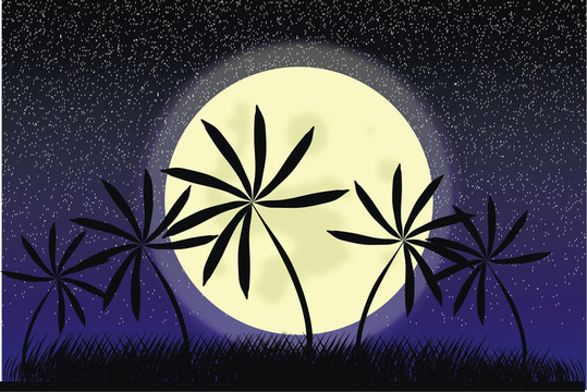 棕櫚樹與夏季日落