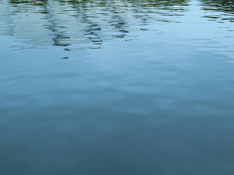 水