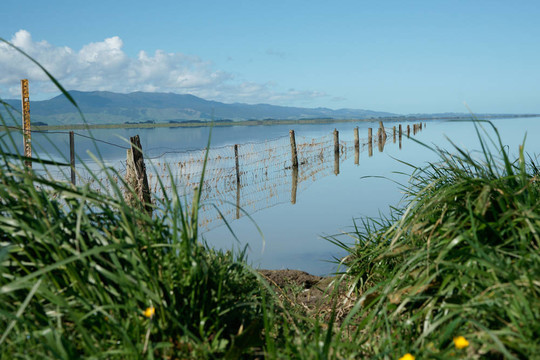農(nóng)村湖風景。