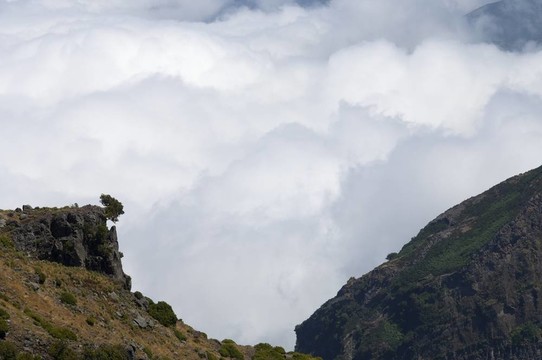 山地景觀