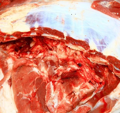 肉