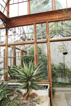 在Yucca植物園