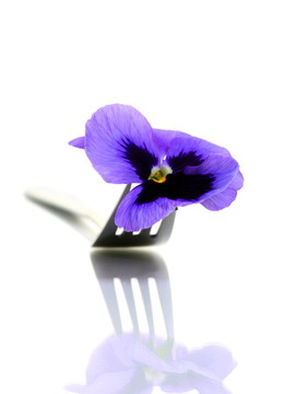 叉子上的花。