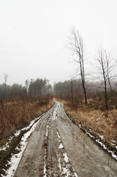 有土路的雪冬景觀