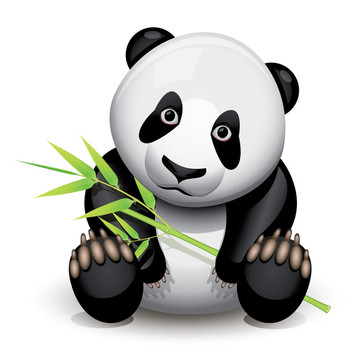 小熊貓