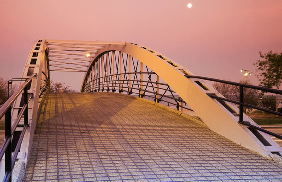 湖岸驅動的步行橋