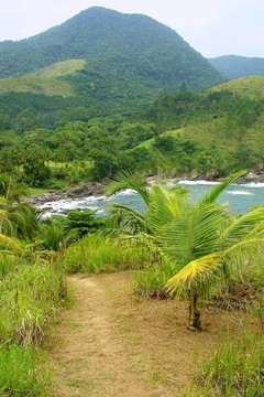 荒島