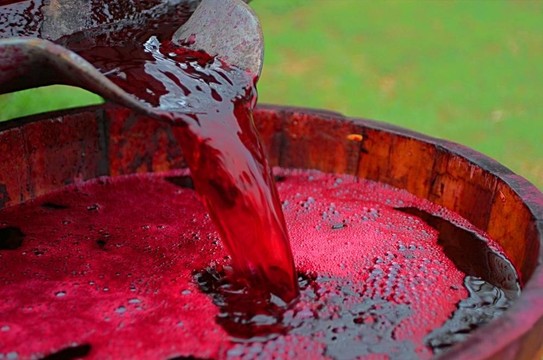 生產(chǎn)的葡萄酒