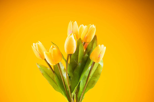 桌上五顏六色的郁金香花束