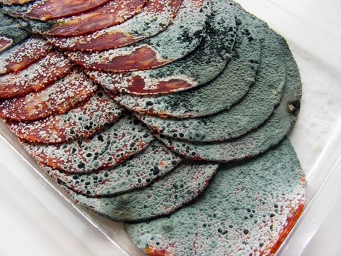 腐爛的肉