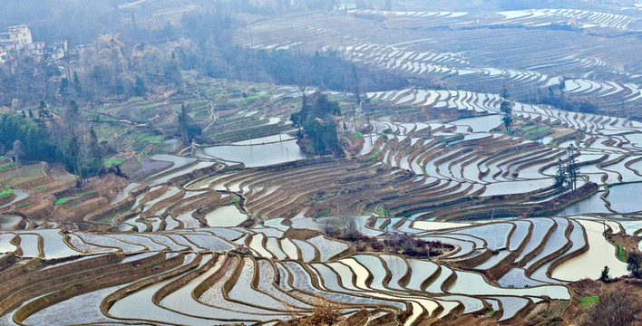 梯田風(fēng)光