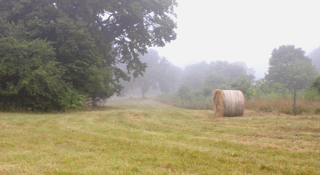 haystacks_0268