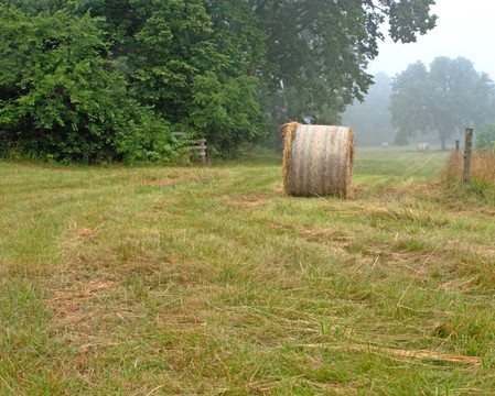在Field haybale