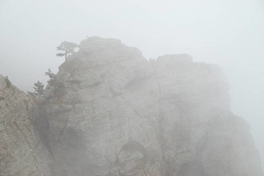 山上的薄霧