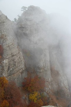 山上的薄霧
