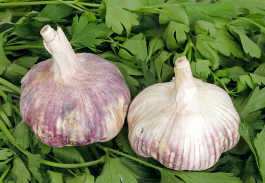 大蒜和香菜