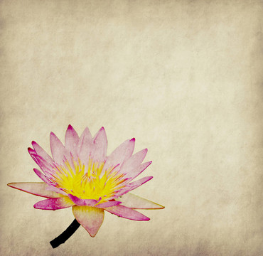 蓮花集抽象背景畫(huà)