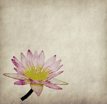 蓮花集抽象背景畫
