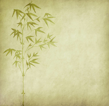 竹上的中國水墨畫