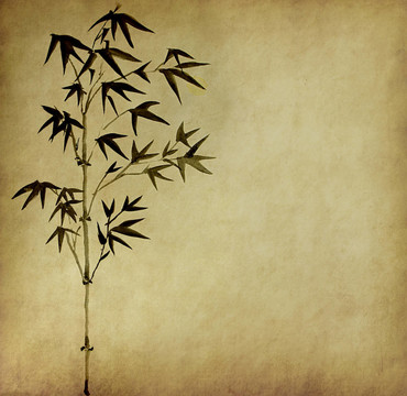 具有手工紙紋理的中國(guó)竹子設(shè)計(jì)