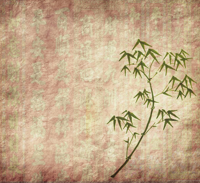 紙背景下竹枝的輪廓