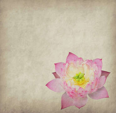 蓮花集抽象背景畫