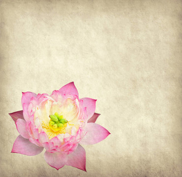 蓮花集抽象背景畫