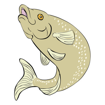 虹鱒魚的跳躍