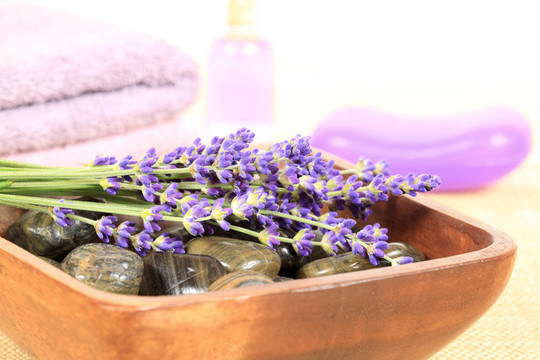 薰衣草SPA