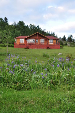 綠山上的小屋