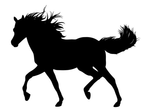 奔跑的馬