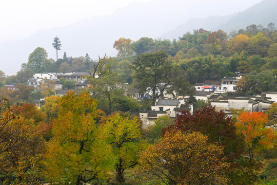 皖南風(fēng)光