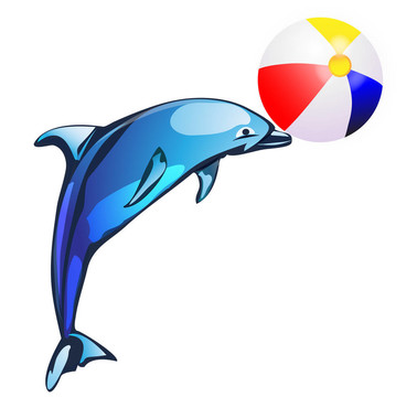 海豚
