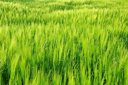 新的領(lǐng)域