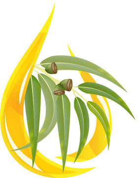 桉樹精油