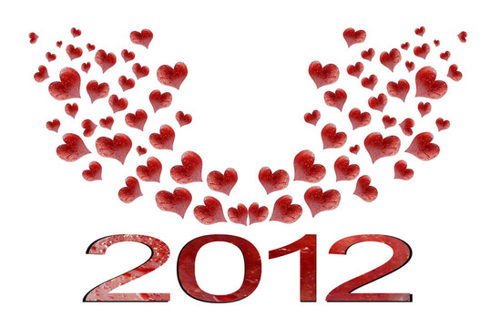 新的一年2012