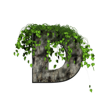 3D石字母上的綠色常春藤