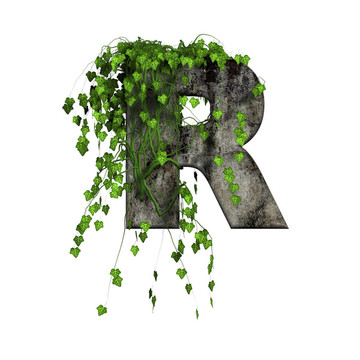 綠色常春藤上的3D石字母- R