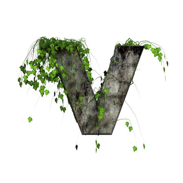 綠色常春藤上的3D石頭字母- V