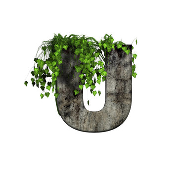 綠常春藤3D石上的信- U