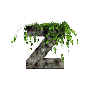 綠色常春藤上的3D石字母- Z