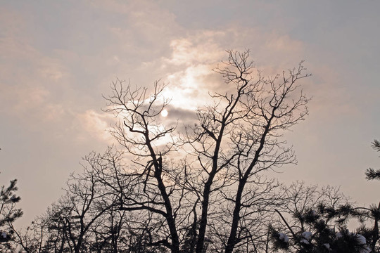 冬季的天空