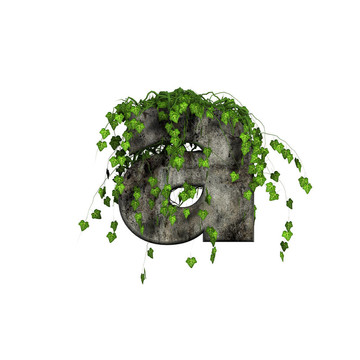 綠色常春藤上的3D石字母- A