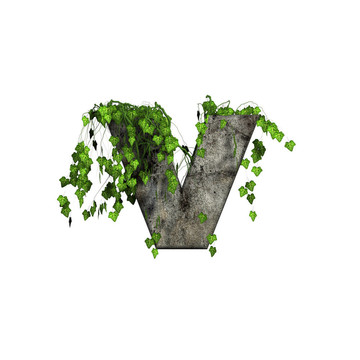 綠色常春藤上的3D石頭字母- V
