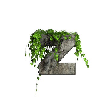 綠色常春藤上的3D石字母- Z