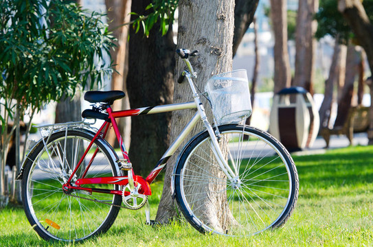 公園里的自行車(chē)