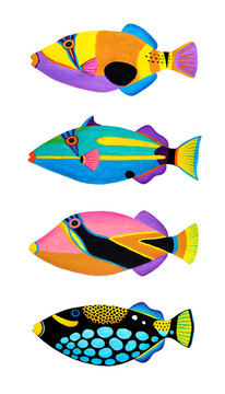 觸發(fā)魚的集合